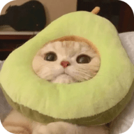 已满十八岁在线播放电视剧大全软件